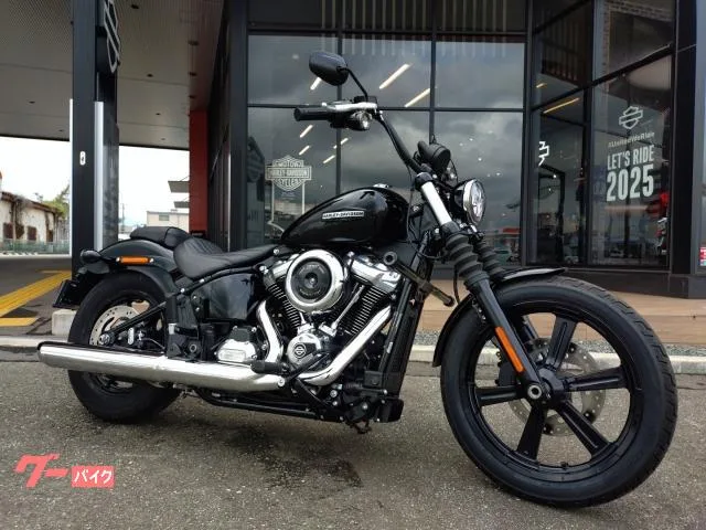 HARLEY-DAVIDSON FXBB 117 2025 — фото 1, купить с доставкой в Москву