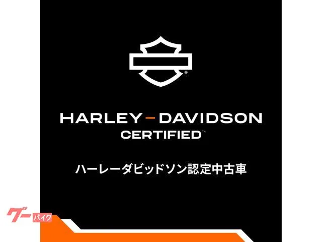 HARLEY-DAVIDSON FXBR 2025 — миниатюра 2