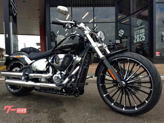 HARLEY-DAVIDSON FXBR 2025 — фото 1, купить с доставкой в Москву