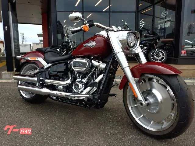 HARLEY-DAVIDSON FLFBS 114 2024 — фото 1, купить с доставкой в Москву