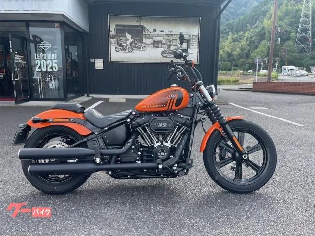 HARLEY-DAVIDSON FXBBS 114 2024 2024 — фото 1, купить с доставкой в Москву