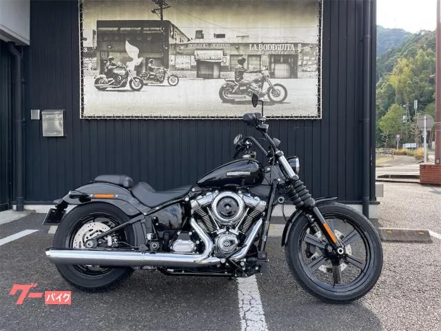 HARLEY-DAVIDSON FXBB 117 2025 — фото 1, купить с доставкой в Москву