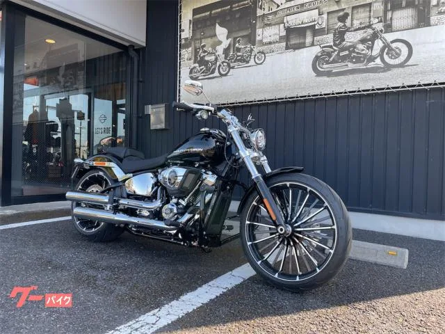 HARLEY-DAVIDSON FXBR 2025 — миниатюра 2