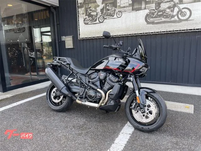 HARLEY-DAVIDSON 1250ST 2025 — миниатюра 2