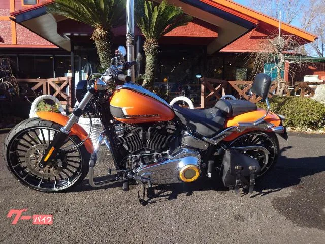 HARLEY-DAVIDSON FXBR 2023 — миниатюра 2