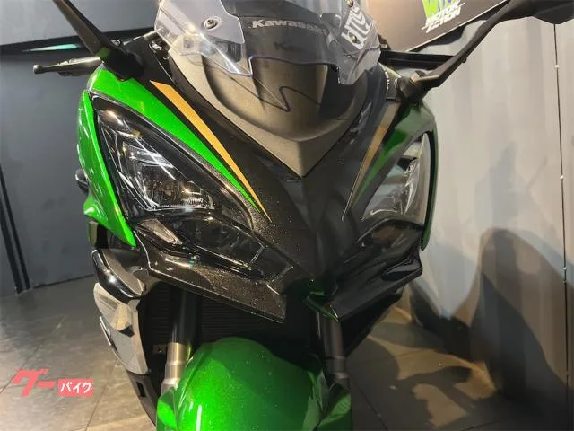 Kawasaki Ninja 1100 SX SE 2025 — миниатюра 3