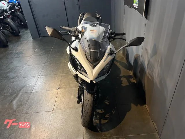 Kawasaki Ninja 1100 SX ETC2.0 2025 — миниатюра 2