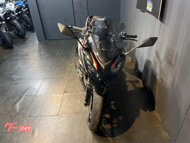 Kawasaki Ninja 1000 SX ETC 2024 — миниатюра 2
