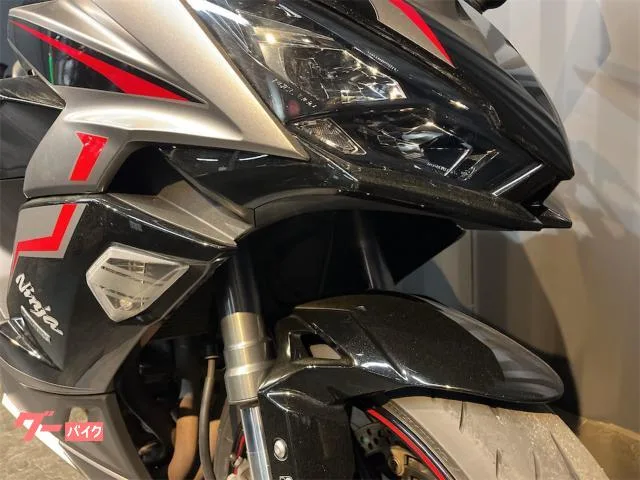 Kawasaki Ninja 1000 SX ETC 2024 — миниатюра 3