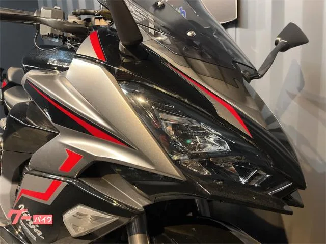 Kawasaki Ninja 1000 SX ETC 2024 — миниатюра 5