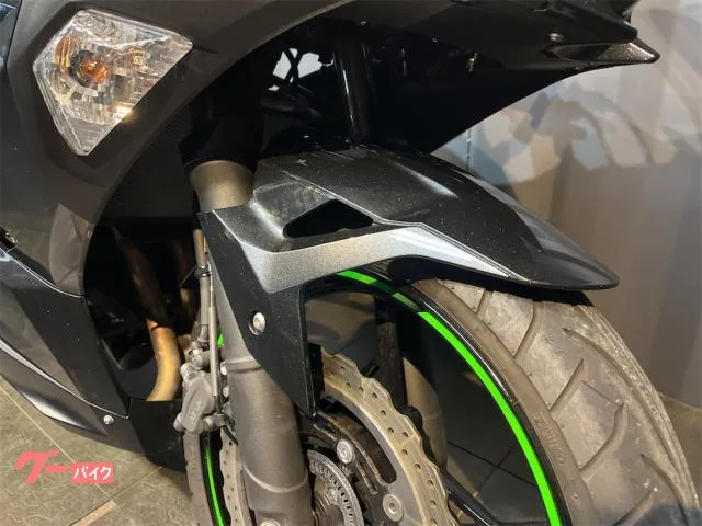 Kawasaki Ninja 250 ETC2.0 2022 — миниатюра 3