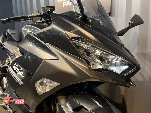 Kawasaki Ninja 250 ETC2.0 2022 — миниатюра 5
