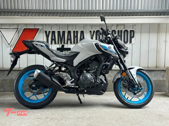 Yamaha MT-03(320cc) 2025 — фото 1, купить с доставкой в Москву