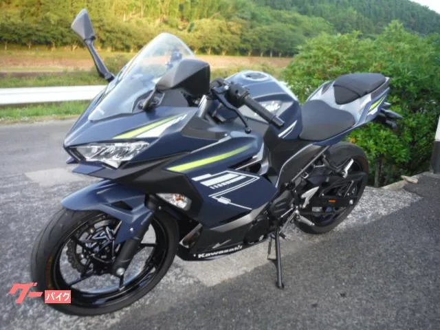 Kawasaki Ninja 400 2022 ETC USB 2022 — миниатюра 5