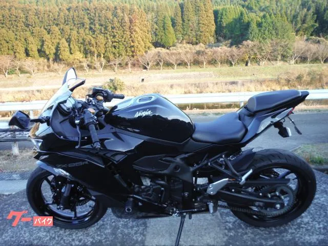 Kawasaki Ninja ZX-25R 2022 2022 — миниатюра 2