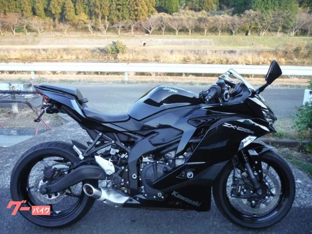 Kawasaki Ninja ZX-25R 2022 2022 — фото 1, купить с доставкой в Москву