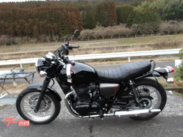 Kawasaki W800 2022 2022 — миниатюра 2