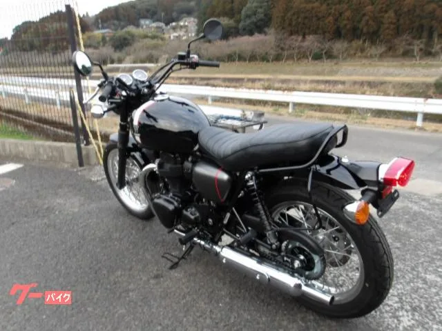 Kawasaki W800 2022 2022 — миниатюра 3