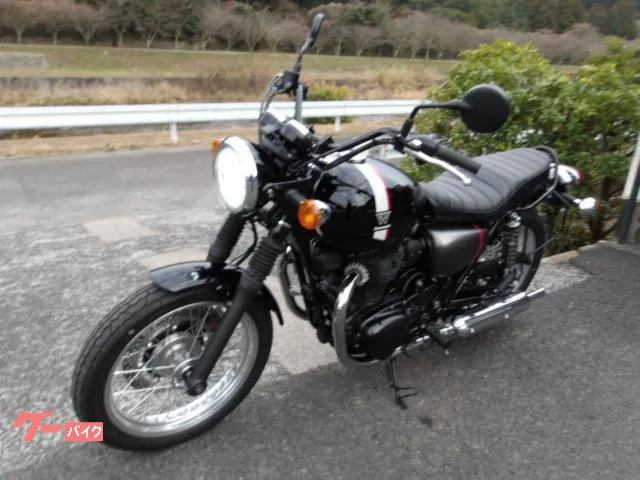 Kawasaki W800 2022 2022 — миниатюра 5