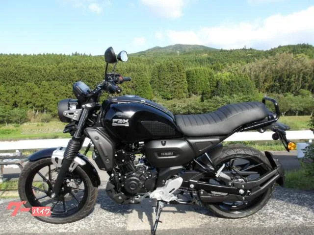 Yamaha FZ-X 2025 2025 — миниатюра 2