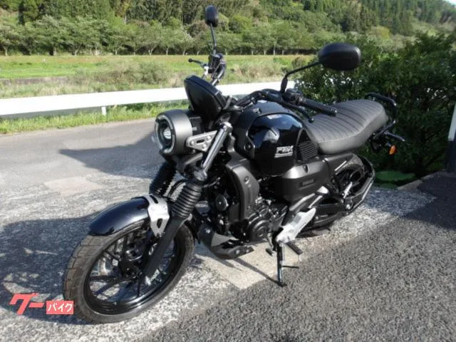 Yamaha FZ-X 2025 2025 — миниатюра 5