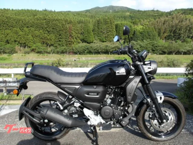Yamaha FZ-X 2025 2025 — фото 1, купить с доставкой в Москву