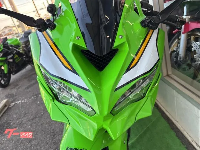Kawasaki Ninja ZX-4RR ETC USB 2025 — миниатюра 4