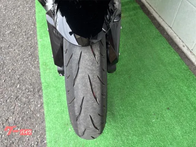 Kawasaki Ninja 1100 SX ETC 2025 — миниатюра 2