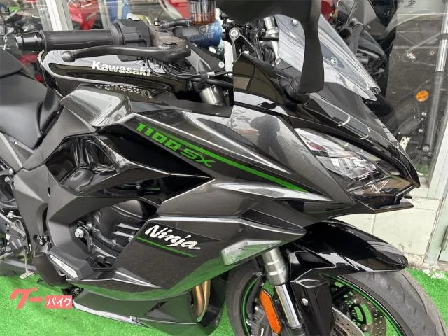 Kawasaki Ninja 1100 SX ETC 2025 — миниатюра 5