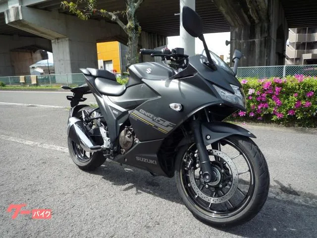 Suzuki GIXXER SF 250 2023 — миниатюра 5