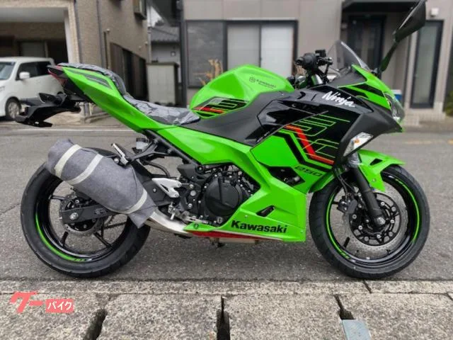 Kawasaki Ninja 250 KRT 2023 — фото 1, купить с доставкой в Москву