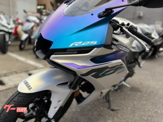 Yamaha YZF-R25 2025 — миниатюра 4