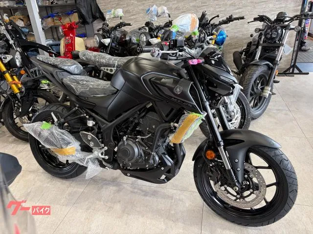 Yamaha MT-25 ABS 2026 — фото 1, купить с доставкой в Москву