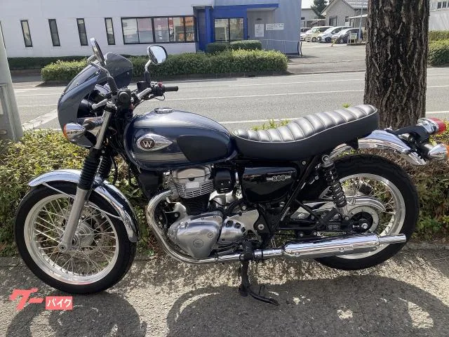 Kawasaki W800 CHIC DESING ETC 2023 — миниатюра 2
