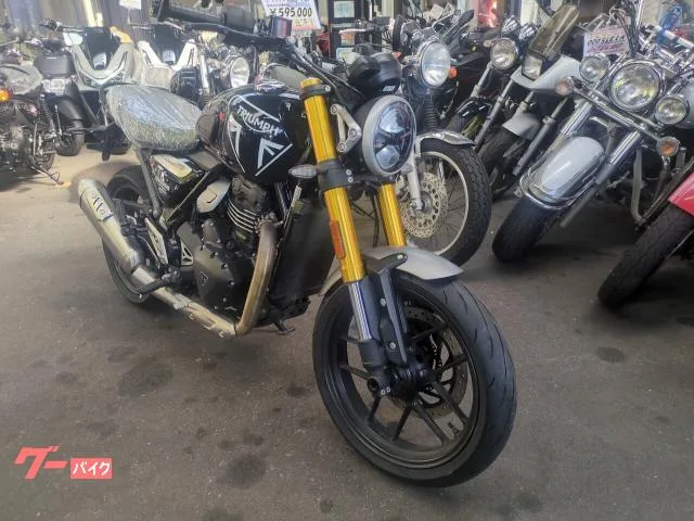 TRIUMPH 400 2024 — миниатюра 2
