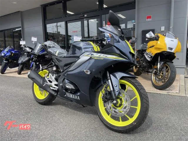 Yamaha YZF-R15 YSP3 2024 — фото 1, купить с доставкой в Москву