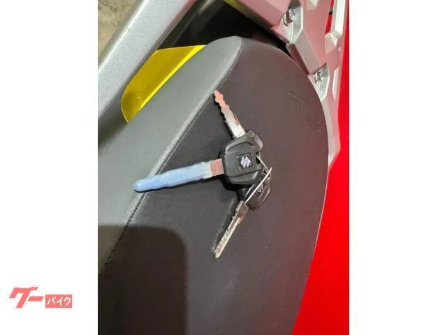 Suzuki V- 250SX USB 2 2022 — миниатюра 4