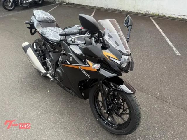 Suzuki GSX250R 2025 — миниатюра 2