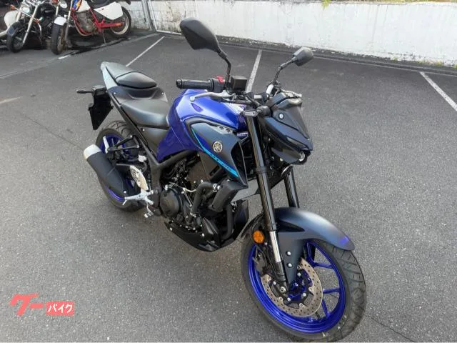 Yamaha MT-25 RG74J 2024 — миниатюра 2