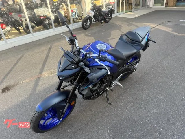 Yamaha MT-25 RG74J 2024 — миниатюра 4