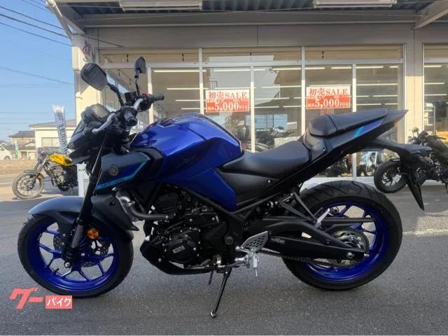 Yamaha MT-25 RG74J 2024 — миниатюра 5