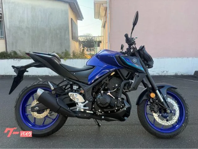 Yamaha MT-25 RG74J 2024 — фото 1, купить с доставкой в Москву