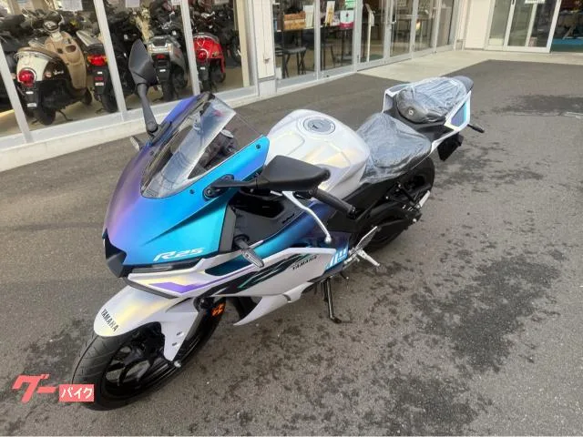 Yamaha YZF-R25 2025 — миниатюра 4