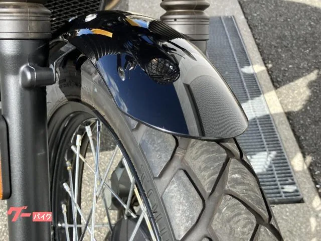 TRIUMPH 900 2024 — миниатюра 3
