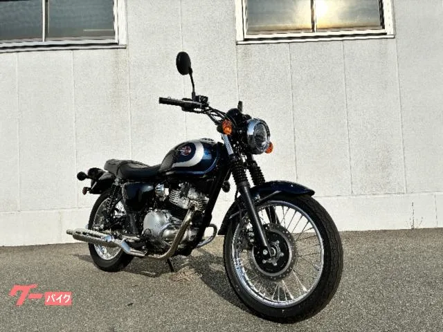 Kawasaki W230 ABS 2025 — фото 1, купить с доставкой в Москву