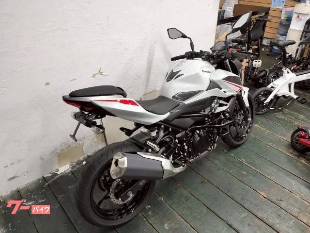 Kawasaki Z400 ABS ETC USB 2022 — миниатюра 4