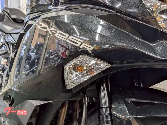 Kawasaki Ninja ZX-25R ETC USB 2022 — миниатюра 3