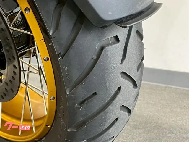 BMW R1300GS ETC BMW 2024 — миниатюра 3