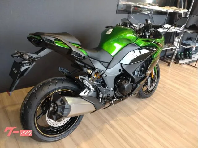 Kawasaki Ninja 1100 SX SE 2025 — миниатюра 3