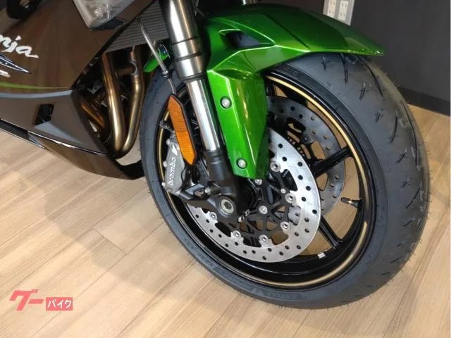 Kawasaki Ninja 1100 SX SE 2025 — миниатюра 4